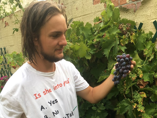 Damien Marié profile picture
